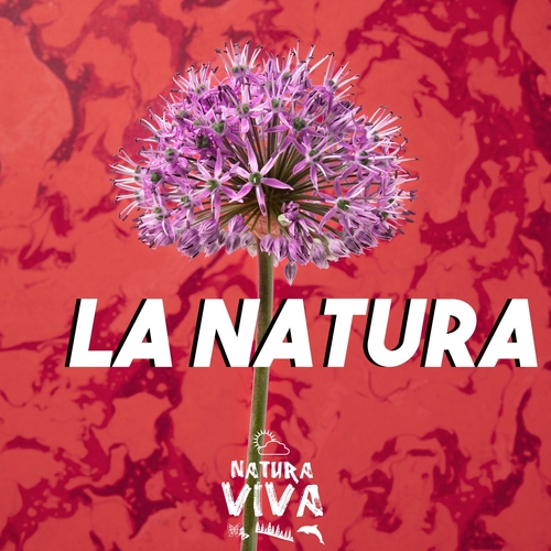 VA - La Natura [NATVA004]